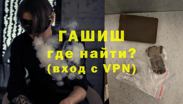 тгк Гусев