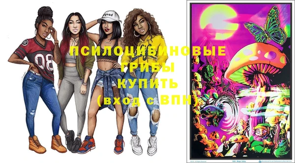 тгк Гусев