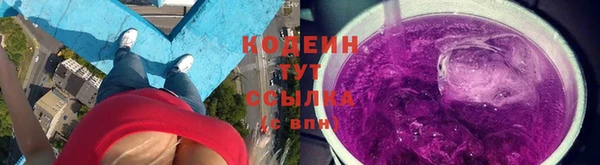 тгк Гусев