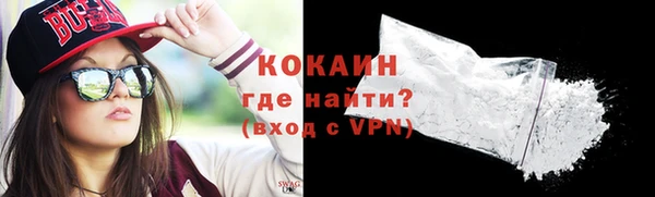 тгк Гусев