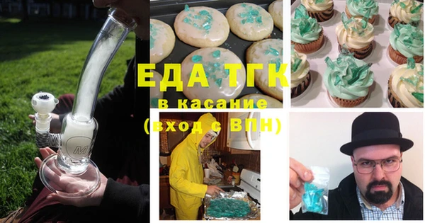 тгк Гусев