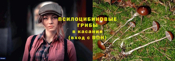 тгк Гусев